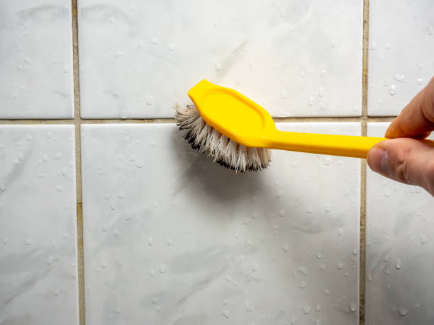 Best Office Mold Removal Services  in Little Ferry, NJ