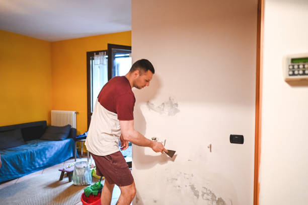 Best Mold Removal Company Near Me  in Little Ferry, NJ