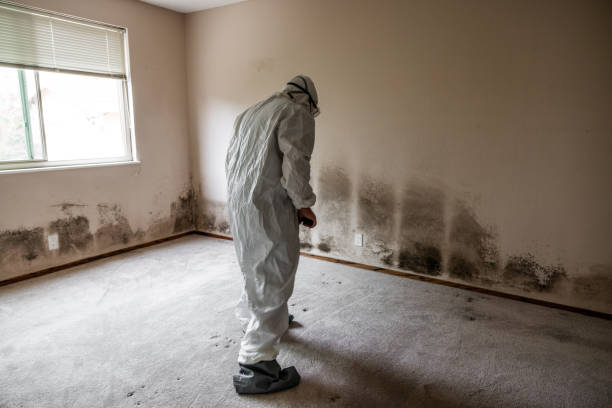 Water Damage Restoration in Little Ferry, NJ
